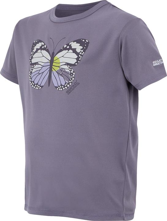 Produktbild Regatta Alvarado IX TShirt (164)