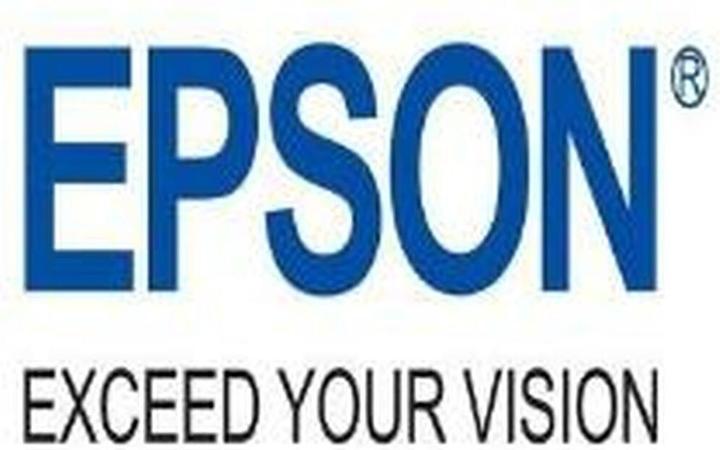 Actual product image Epson C13T04D100