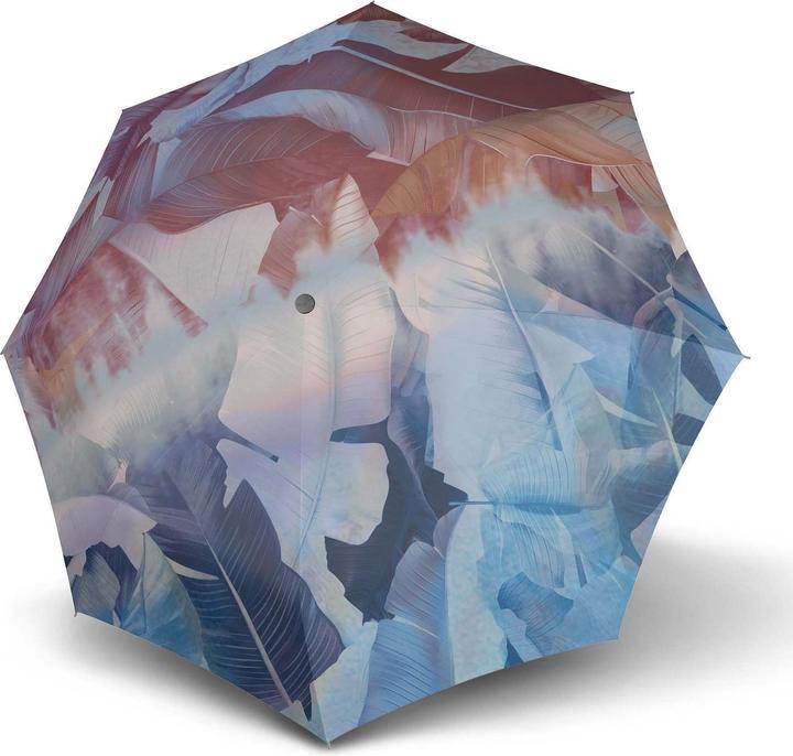 Tempête de palmiers