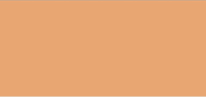 Actual product image MAC Cosmetics Studio Fix Tech Cream-To-Powder Foundation (No. NC37)