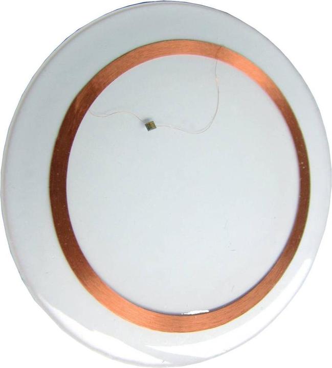 Actual product image Pepperl & Fuchs RFID transponder