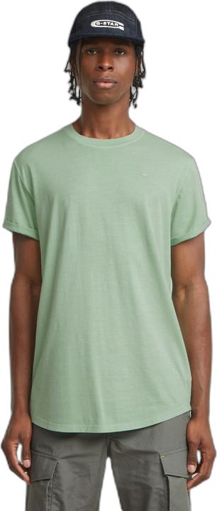 birds egg green gd