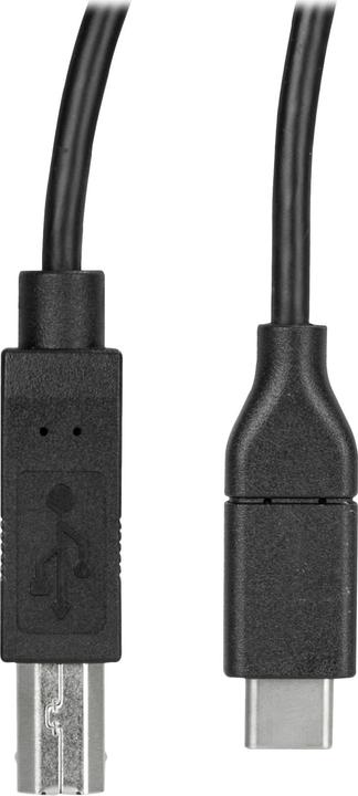 Actual product image StarTech USB-C to USB-B printer cable (0.50 m, USB 2.0)