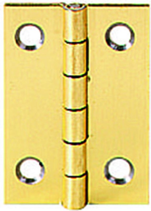 Actual product image Werkstarck Casket hinges 25x20mm steel verme