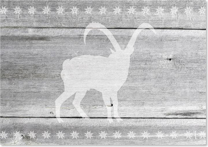 Image du produit Trendform Capricorne (42 x 29.70 cm)