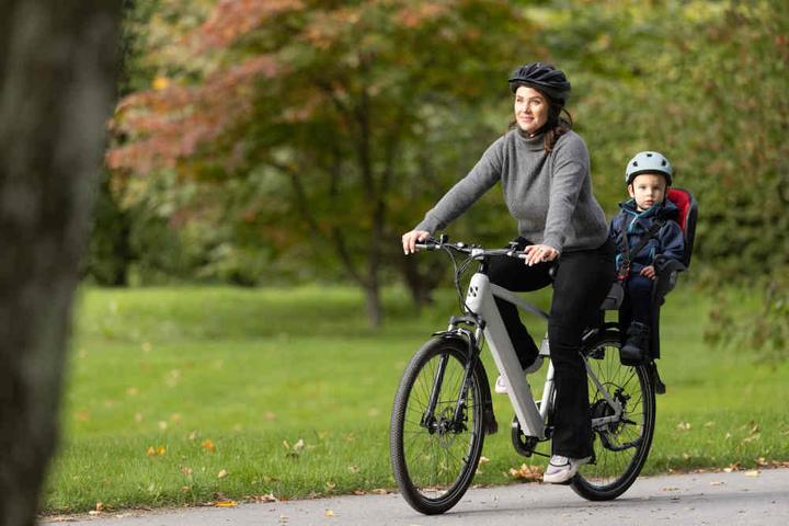 Immagine prodotto hamax Bacio (Canotto reggisella, Portapacchi, Reggisella, Telaio bici)