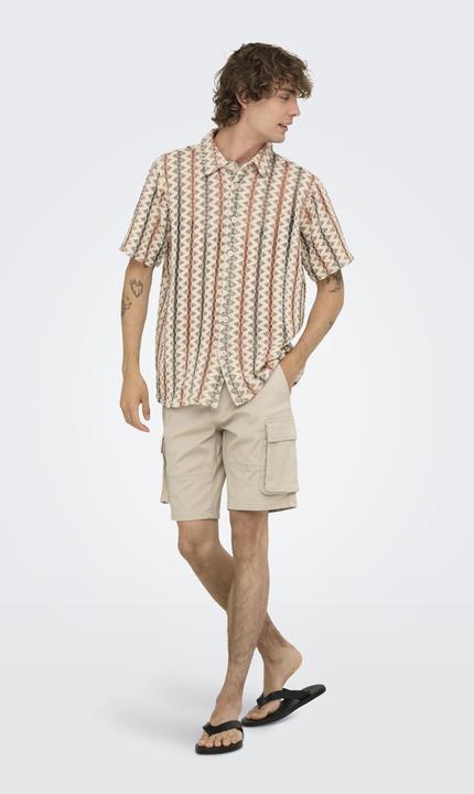 Image du produit Only & Sons ONSCAM Normal geschnitten Shorts Cargo Shorts (M)