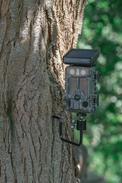 Immagine prodotto Braun Photo Vite ad albero BRAUN per fotocamere da gioco da 1/4"