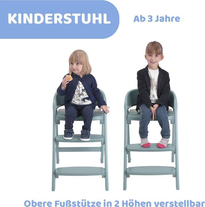 Image du produit Chicco Crescendo (Chaise haute pour escaliers)