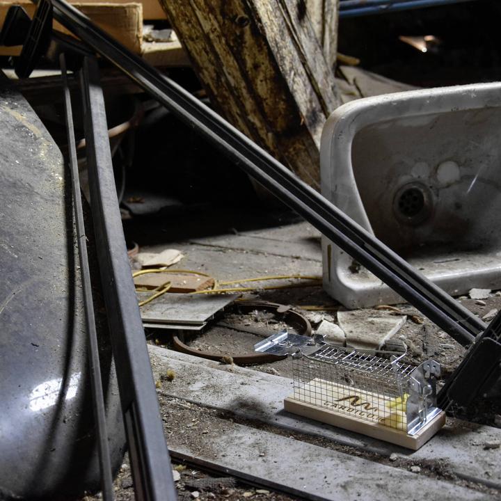 Productafbeelding Gardigo Mausefalle