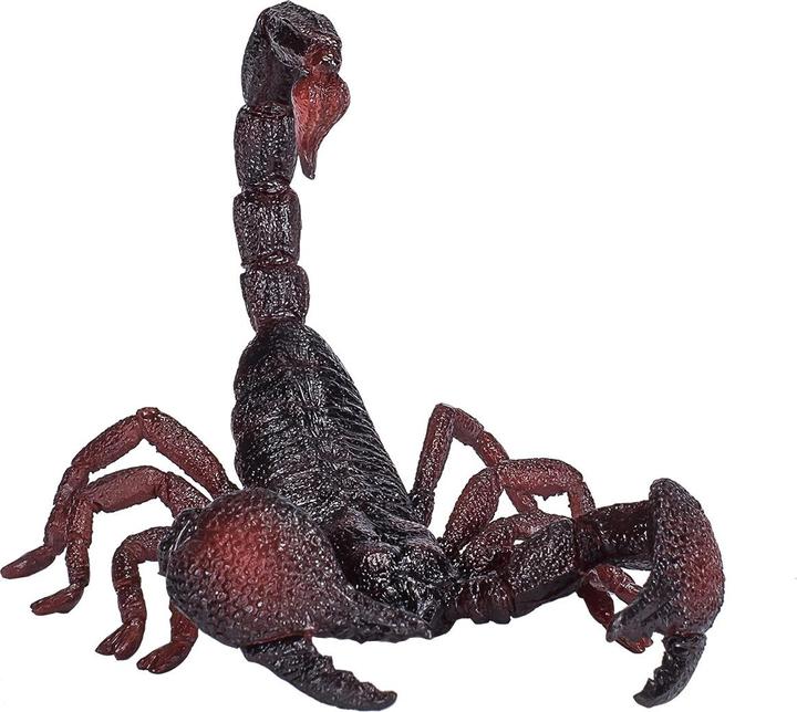 Actual product image small foot Emperor Scorpion