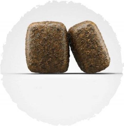 Produktbild Josera Nature Energetic (Adult, 1 Stk., 12500 g)