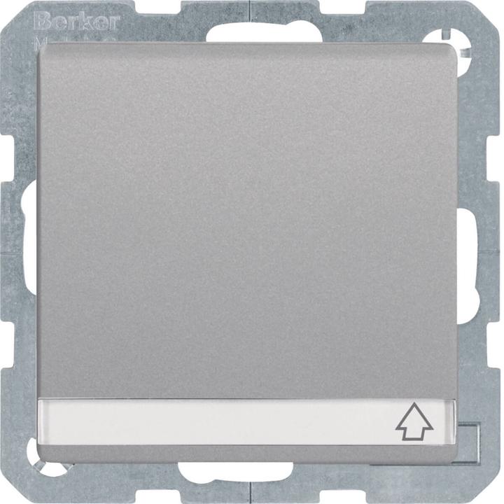 Productafbeelding Berker Wandcontactdoos met randaarde met klapdeksel, BSF en verkrijgbaar BS Q.1/Q.3 alu-velours, gelakt