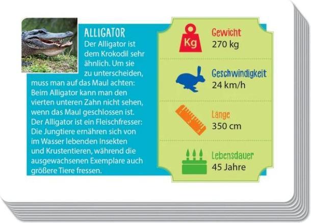 Produktbild Clementoni Rekordverdächtige Tiere (Deutsch)