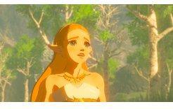 Actual product image Nintendo The Legend of Zelda: Breath Of The Wild (Switch, EN)
