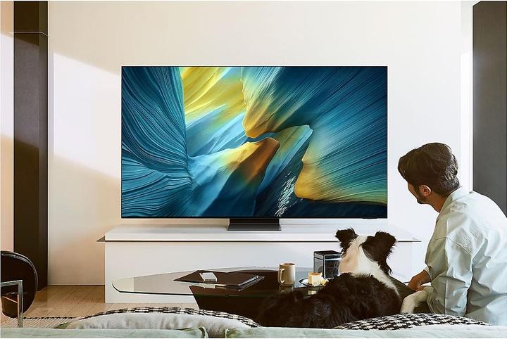 Actual product image Samsung QE65S95F (65", S95F, OLED, 4K, 2025)