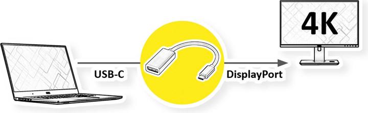 Produktbild Secomp STANDARD Display Adapter USB Typ C - DisplayPort v1.2 (20 cm)