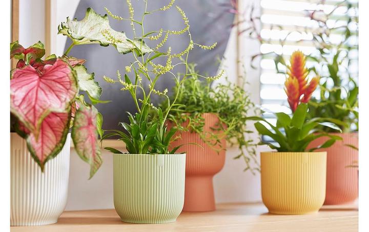 Actual product image Elho Vibes Fold Round Mini (7 x 6.50 cm)