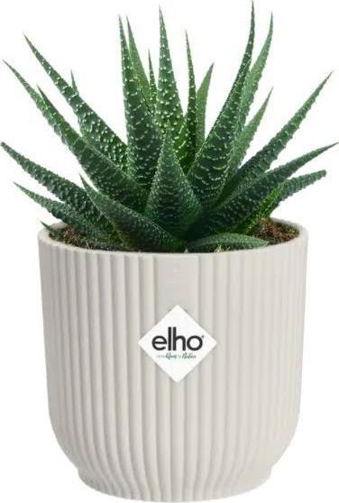 Image du produit Elho Vibes (29 cm)