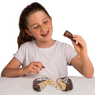 Actual product image Boti National Geographic Dinosaur Counting Set
