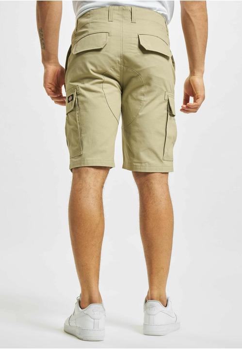 Actual product image Dickies Millerville Shorts (30)