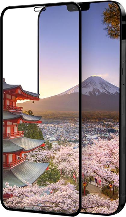 Actual product image Eiger 3D Glass (1 pcs., Apple iPhone 12 Pro Max)