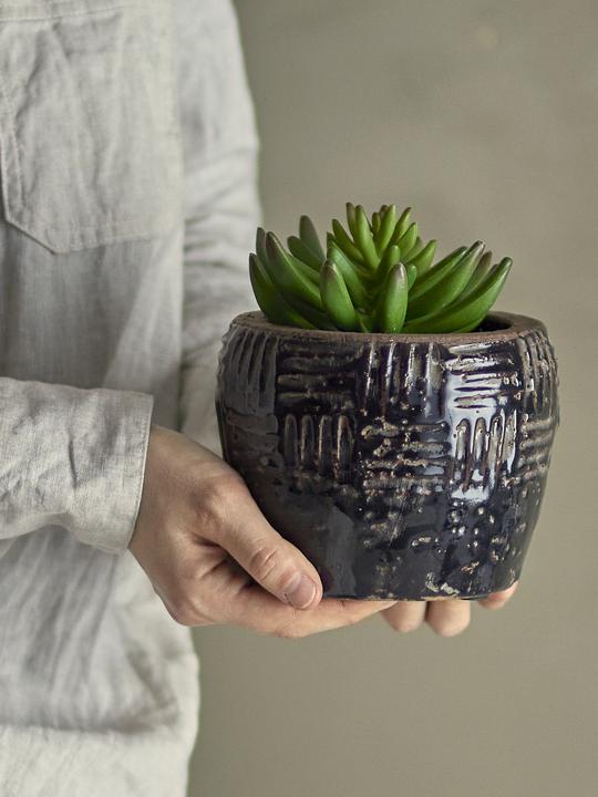 Immagine prodotto Bloomingville Echeveria (9 x 14 cm)