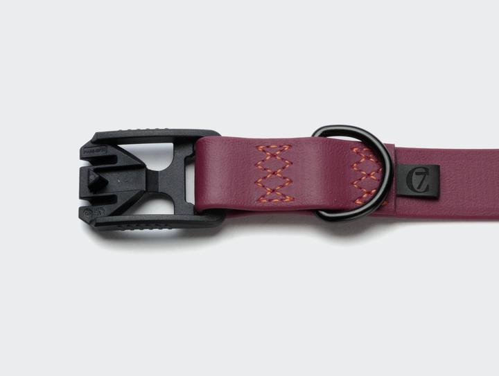 Cloud 7 Ipanema BioThane (S, Dog, General)