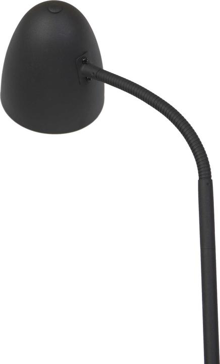 Actual product image Nino Leuchten NOWA Stehleuchte Schwarz JASON (E14)