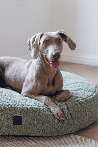 Image du produit Designed by Lotte Lit de repos Ribbed (Chien)