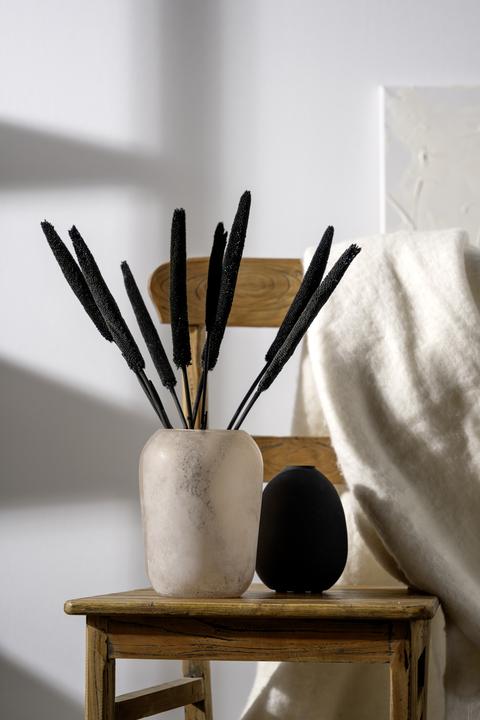 Produktbild Leonardo Trogolo (1x, 6.79 l)