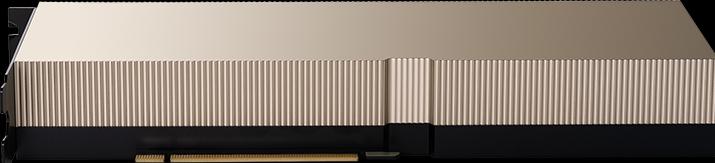 Actual product image PNY NVIDIA A100 Modul 80GB HBM2+++ (80 GB)