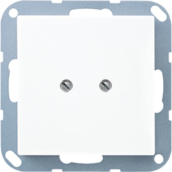 Actual product image JUNG Blind plate