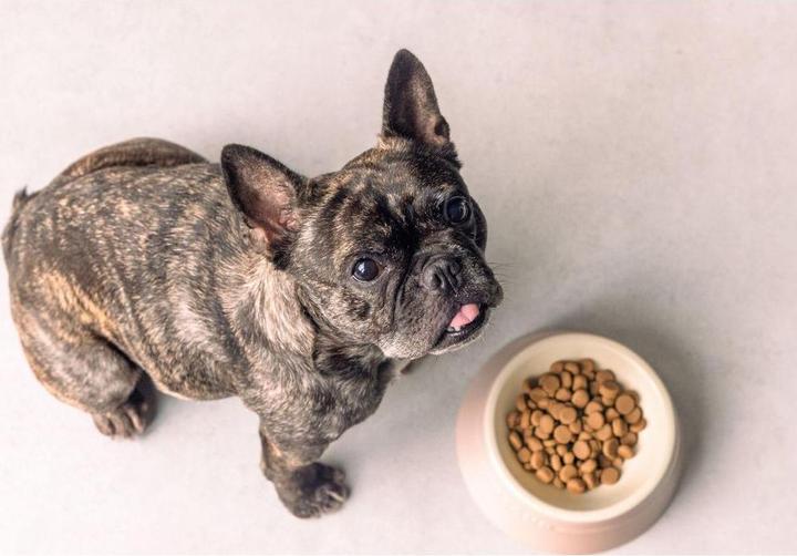 Produktbild Staub Haustiernapf (40 cl)