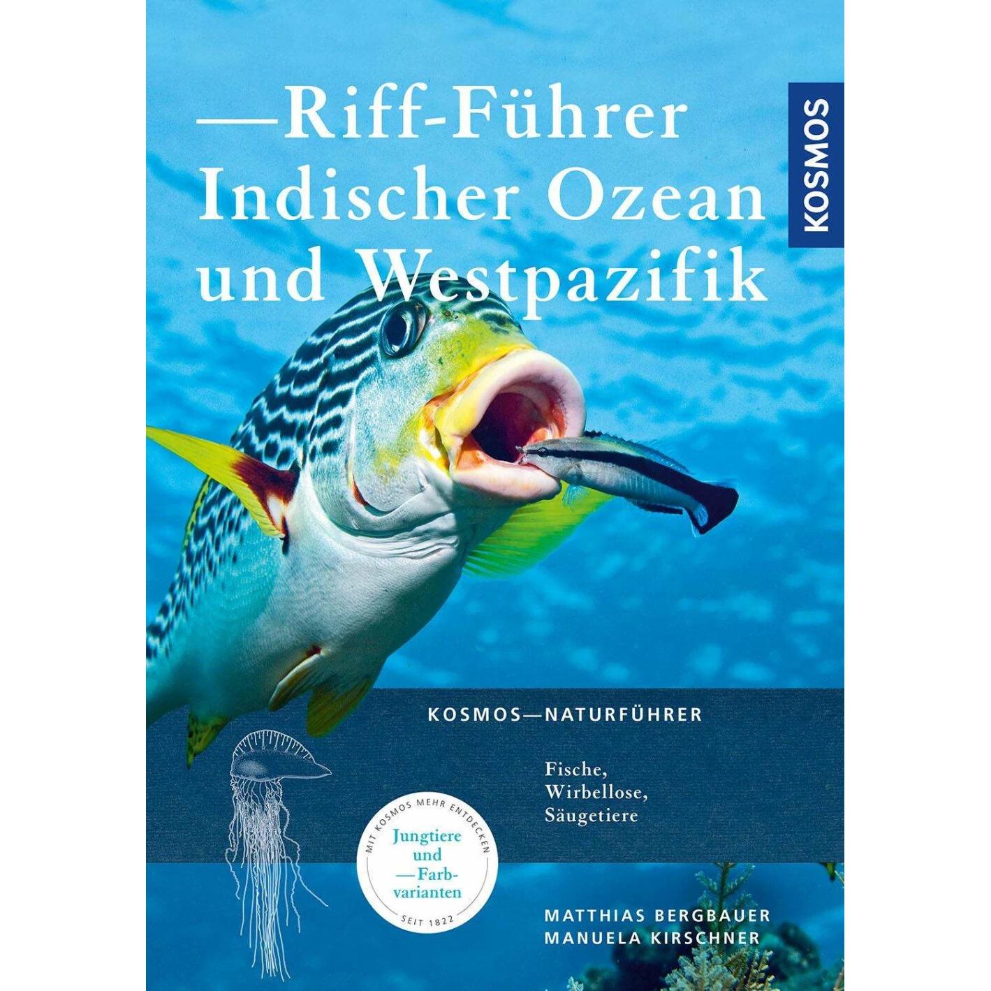 Riff-Führer Ind. Ozean und Westpazifik, Ratgeber von Matthias Bergbauer