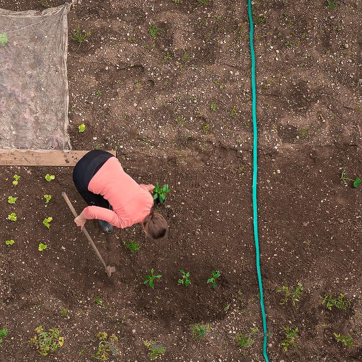 Actual product image Relaxdays Irrigation hose 5m (5 m)