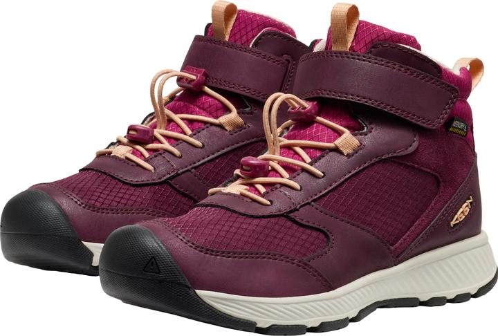 fig-peach fuzz, Lila