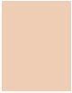 Actual product image Wet n Wild Bare Focus TIntense Skin Perfector 1114063E (Light Medium)