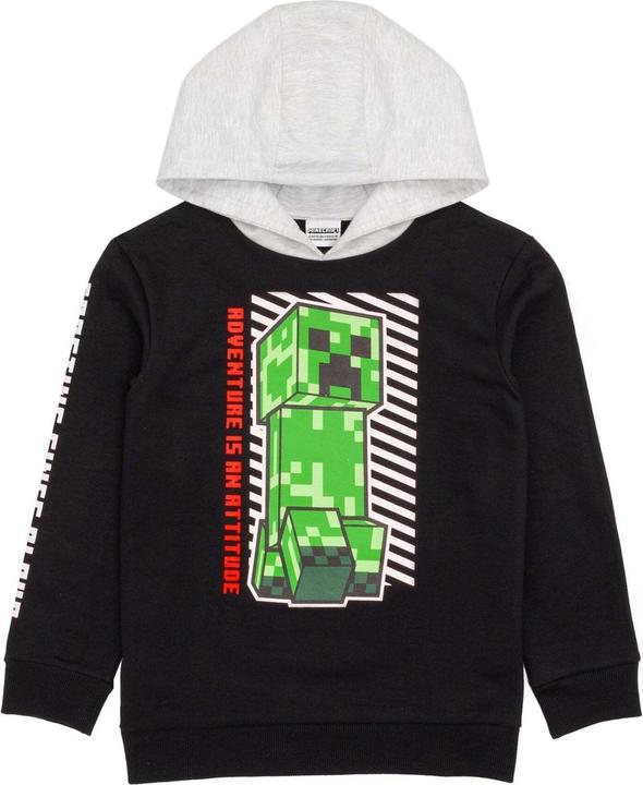 Image du produit Minecraft Sweat à capuche garçon (128)