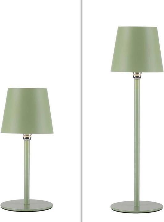 Actual product image Just Light LED bottle light (220 lm)