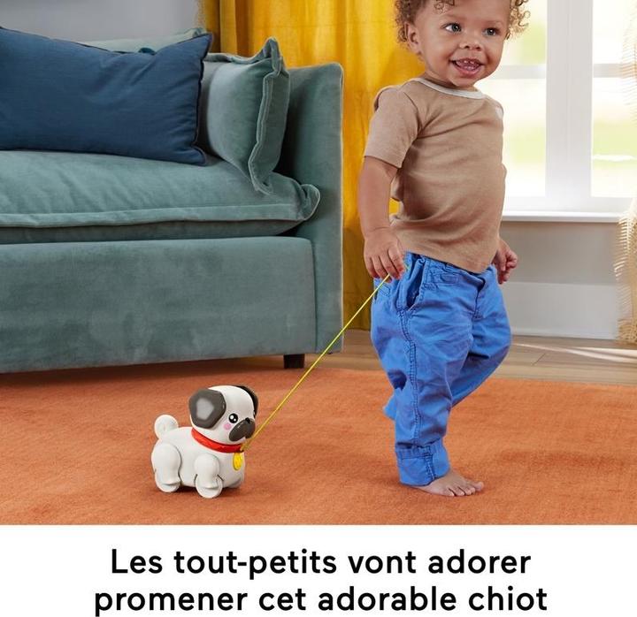 Actual product image Fisher-Price play & pull pug