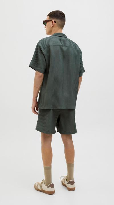 Actual product image Jack & Jones Regular Fit Relaxed Fit Shorts Relaxed Fit Shorts (S)