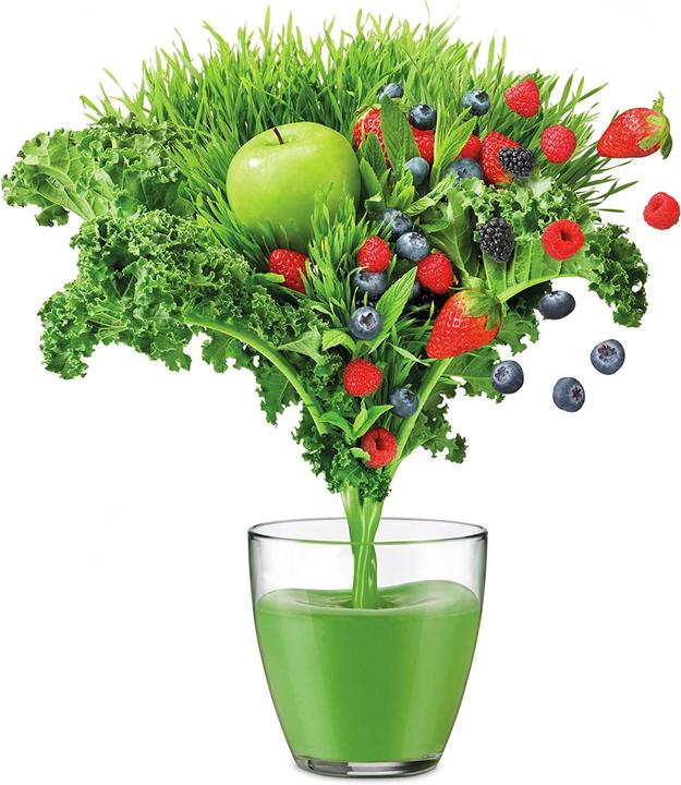Produktbild Sage The Nutri Cold