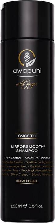 Paul Mitchell MirrorSmooth Shampoo (250 ml, Flüssiges Shampoo)