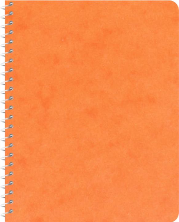 Produktbild Novooo Spiralheft assortiert (91 x 121 mm, Kariert, Weicher Einband)