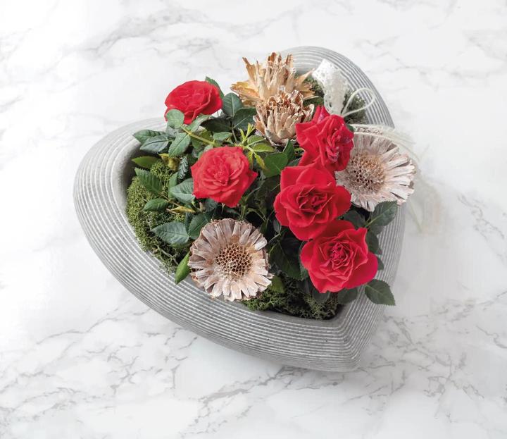Image du produit Opiflor Bol Sofia 22 x 8 cm, Gris (23 x 23 x 8 cm)