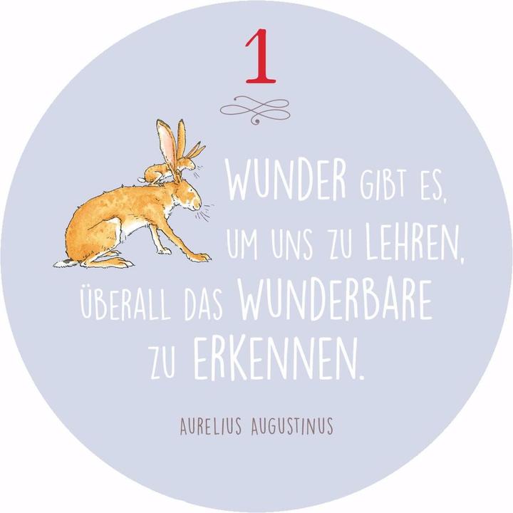 Actual product image Do you know how much I love you?