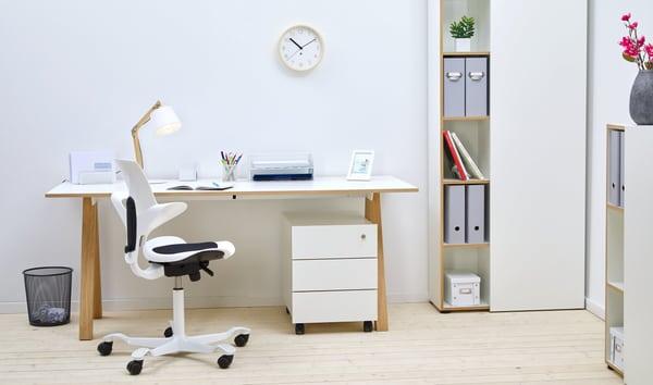 Actual product image HAG Capisco Puls 8010