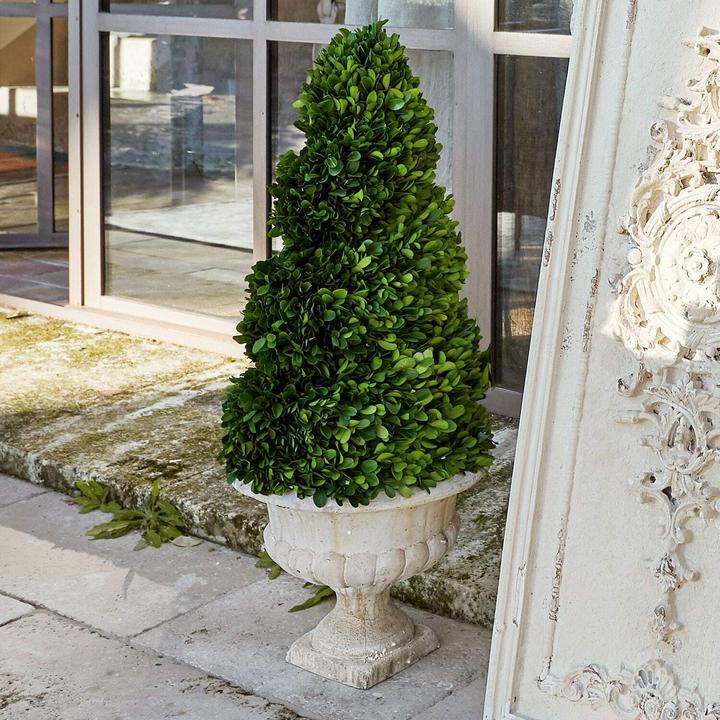 Immagine prodotto Loberon Deco Tree Humbria verde/crema (75 cm)