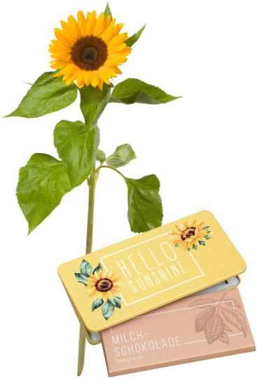 Fleurop Es chlises Sünneli (1 Sonnenblume) mit Schoggi-Tafel „Hello Sunshine“